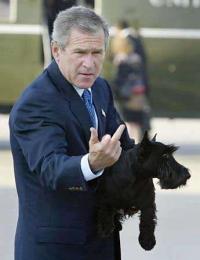 O chiste de Nano by George Bush